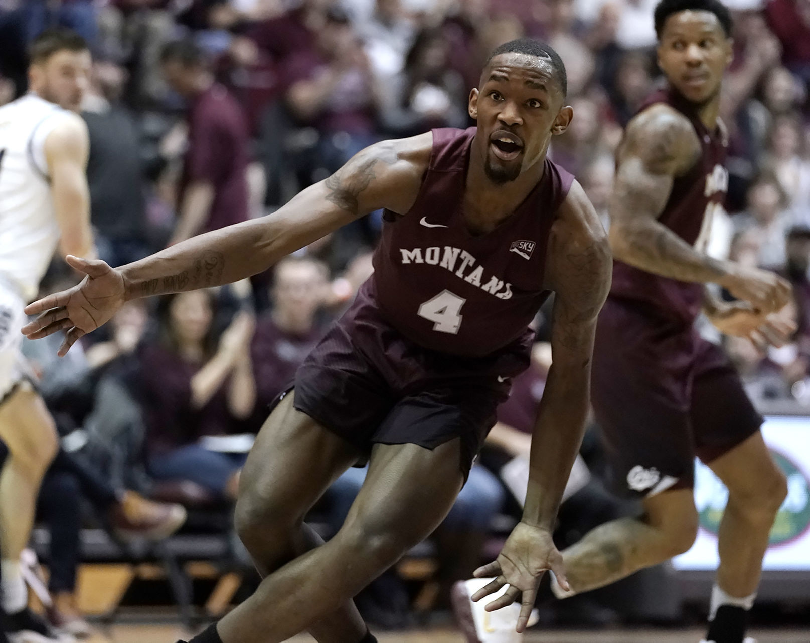 Griz v Cats-18-tm.jpg